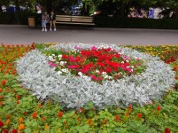 IMG_20210615_151916.jpg