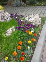 IMG_20210615_152225.jpg