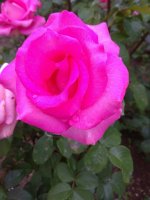 IMG_20210615_152318.jpg