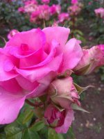 IMG_20210615_152335.jpg