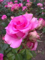 IMG_20210615_152340.jpg