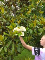 IMG_20210615_152554.jpg