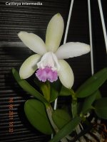 DSCN8101.JPG