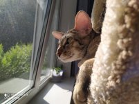 IMG_20210619_175611.jpg