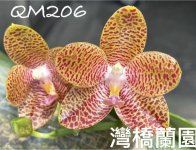 A20AAA64-46B6-4555-B458-1EA3FA0F9C11.jpeg