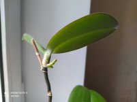 IMG_20210623_095710.jpg