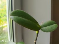 IMG_20210623_095738.jpg