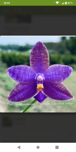 Screenshot_20210315-184417.png