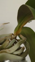 DSC_6773.JPG
