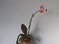 20210630_074139.jpg