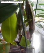 DSCN8125.JPG