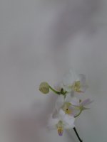 20210705_180014.jpg