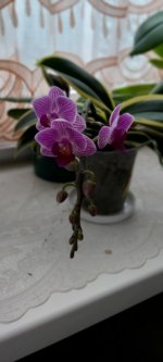 20201222_101153.jpg