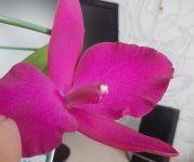 DSCN8181.JPG