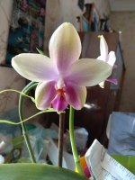 IMG_20210724_105042.jpg