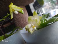 IMG_20210727_202343.jpg