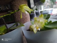 IMG_20210727_202322.jpg