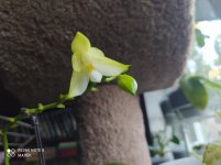 IMG_20210727_202230.jpg
