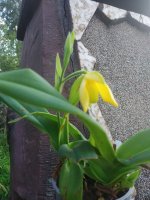 IMG_20210727_161901.jpg