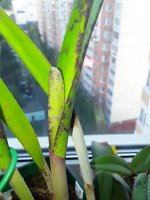 20210727_184749.jpg