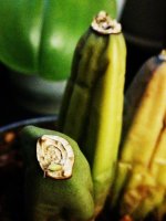 IMG_20210728_205818.jpg