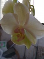 IMG_20210730_142107.jpg