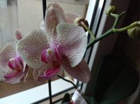 IMG_20210730_141919.jpg