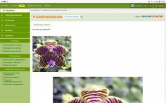 Screenshot_20210801-195255_Firefox.jpg