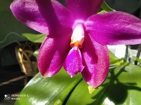 IMG_20210802_102338.jpg