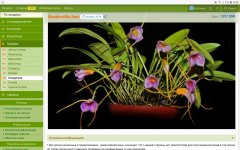 Screenshot_20210802-190824_Firefox.jpg