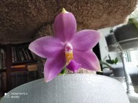 IMG_20210804_195138.jpg