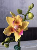IMG_9829.jpg