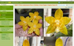 Screenshot_20210806-074956_Firefox.jpg