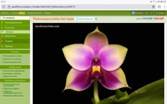 Screenshot_20210806-095027_Firefox.jpg
