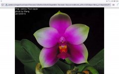 Screenshot_20210806-130821_Firefox.jpg