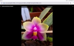 Screenshot_20210806-130915_Firefox.jpg