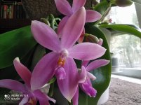 IMG_20210808_115838.jpg