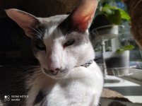 IMG_20210801_160626.jpg
