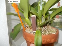 DSCN8195.JPG