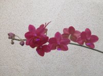 IMG_0566.JPG