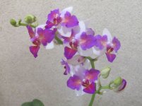 IMG_0569.JPG