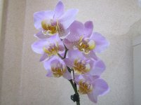 IMG_0577.JPG