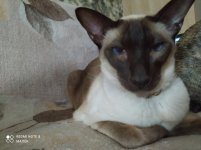 IMG_20210722_010300.jpg