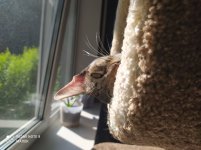 IMG_20210704_173447.jpg