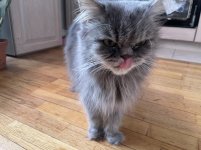 39E5DF47-5CAD-4E1C-8AAC-4A56D12F42E0.jpeg