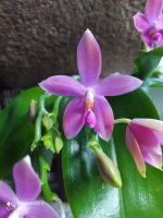 IMG_20210811_195206.jpg