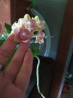 IMG20210811175745.jpg