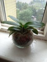 IMG_20210812_092851.jpg