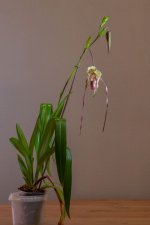 IMG_1629.jpg