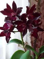 20210815_080621.jpg